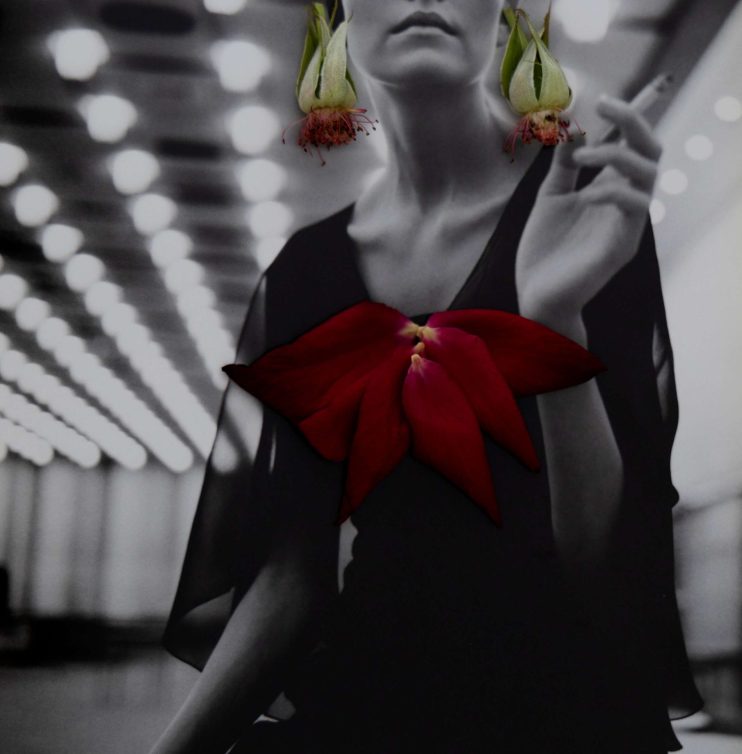 075A3628-Edit לאתר