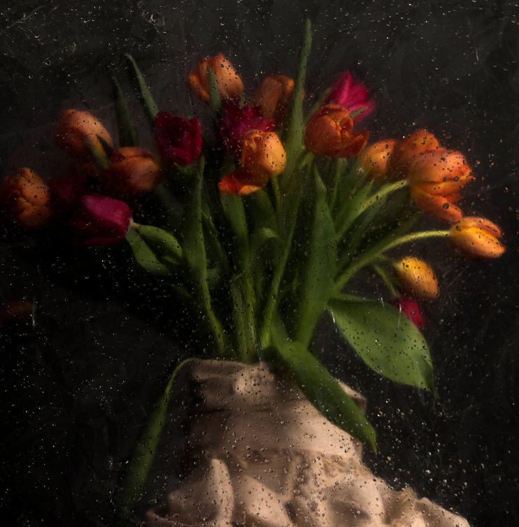 075A8217-Edit לאתר